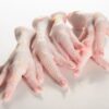 where to buy chicken feet, where to buy chicken feet in bulk